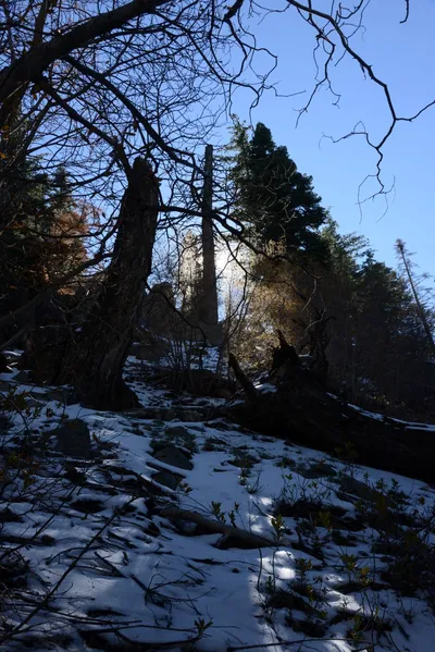 DSC_5076 (Large).JPG